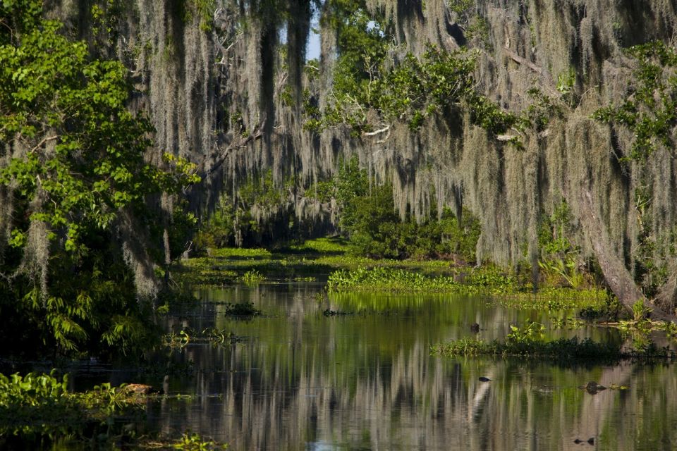 New Orleans: High Speed 9 Passenger Airboat Tour - Cajun Wetlands Life: Why the Stories Add Real Value