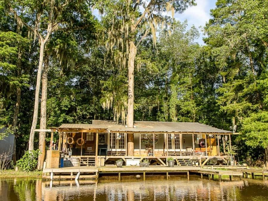 New Orleans: Honey Island Swamp Tour - Cypress and hanging moss photo moments: how to get better shots without rushing