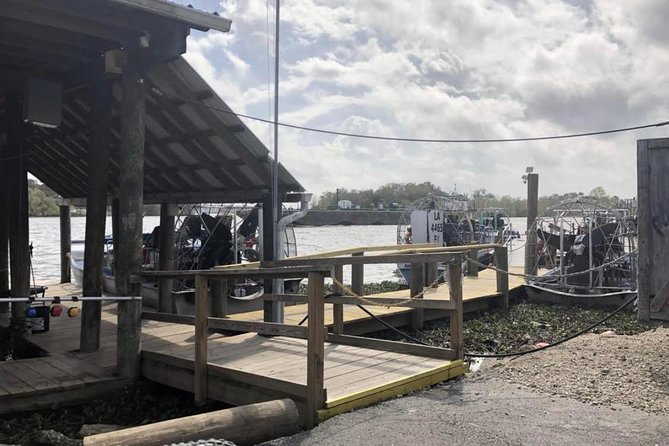 New Orleans Large Airboat Swamp Tour - Wildlife expectations: alligators are the star, birds are common, and season changes everything