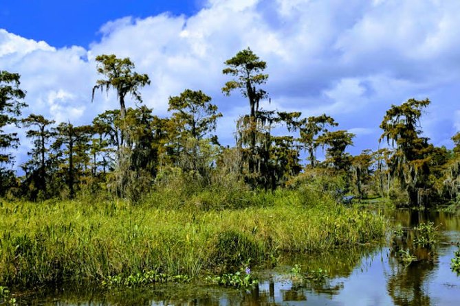 New Orleans Large Airboat Swamp Tour - Safety and who should rethink this tour