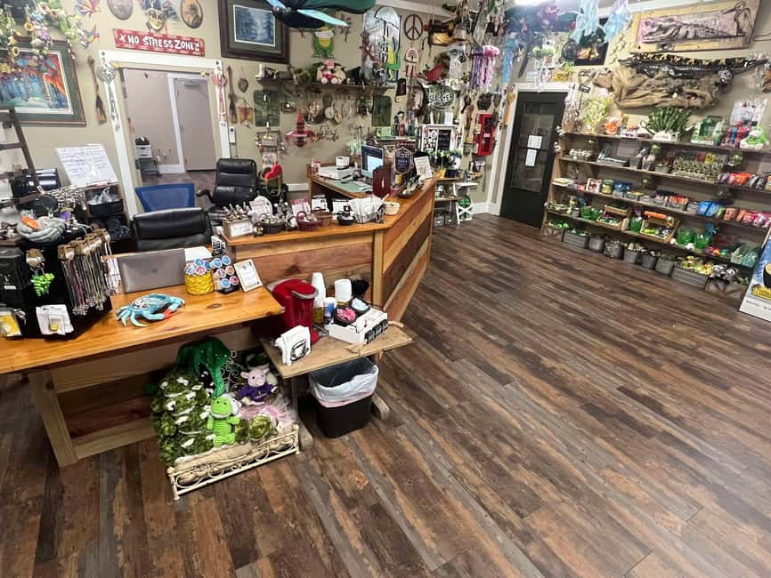 New Orleans Manchac Bayou Swamp Cruise W/ Optional Pick-Up - Timing: The 1.5 to 4 Hour Range and How to Plan Your Day