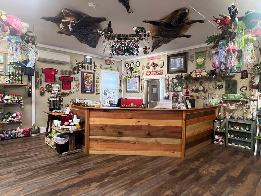 New Orleans Manchac Bayou Swamp Cruise W/ Optional Pick-Up - Price and Value: Is $35 Worth It?