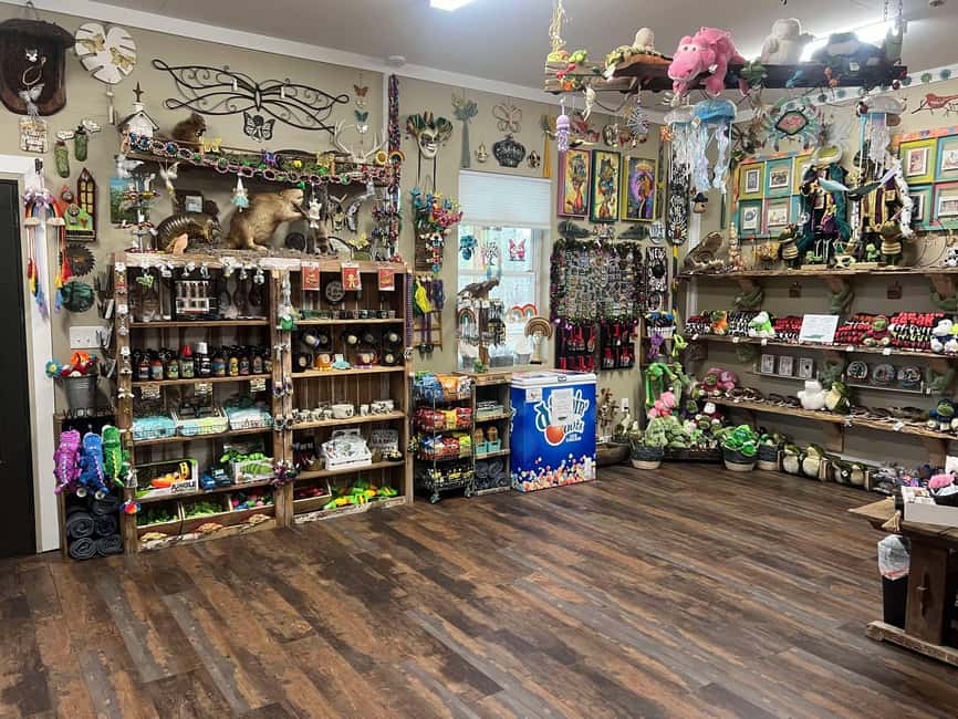 New Orleans Manchac Bayou Swamp Cruise W/ Optional Pick-Up - Who Should Book This Swamp Cruise