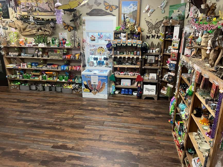 New Orleans Manchac Bayou Swamp Cruise W/ Optional Pick-Up - What to Bring (and What to Leave Behind)