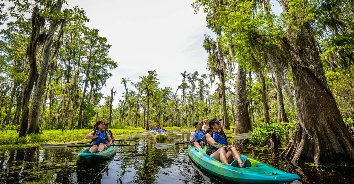 New Orleans: Manchac Magic Kayak Swamp Tour - Key things to know before you go
