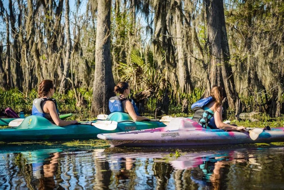 New Orleans: Manchac Magic Kayak Swamp Tour - When to Go: Sun, Calmer Water, and the Best Mood