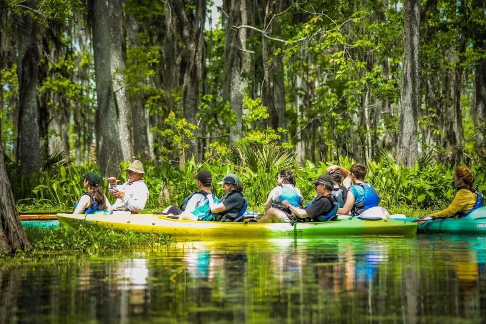 New Orleans: Manchac Magic Kayak Swamp Tour - The Two-Hour Paddle: What Your Time on the Water Actually Looks Like