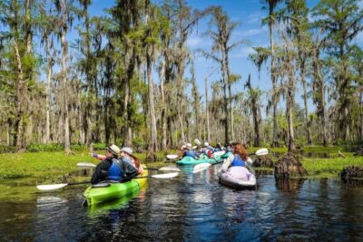 New Orleans: Manchac Magic Kayak Swamp Tour - Meeting at 732 N Rampart St.: Pickup Timing From New Orleans