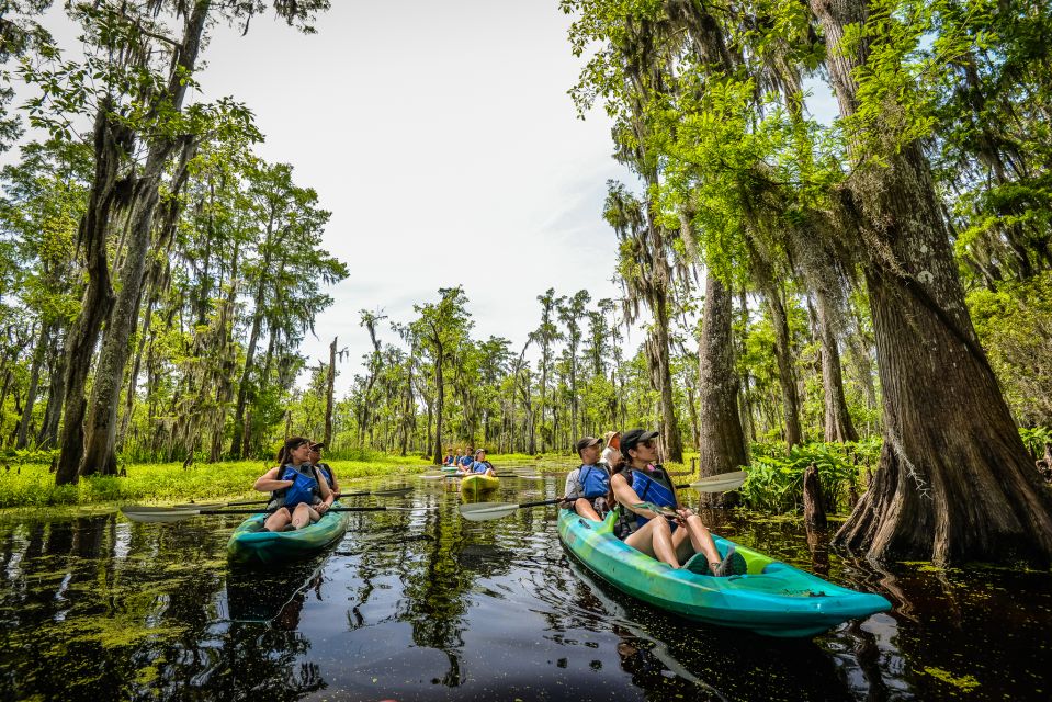 New Orleans: Manchac Magic Kayak Swamp Tour - Value for $90: What’s Included and Why It Adds Up