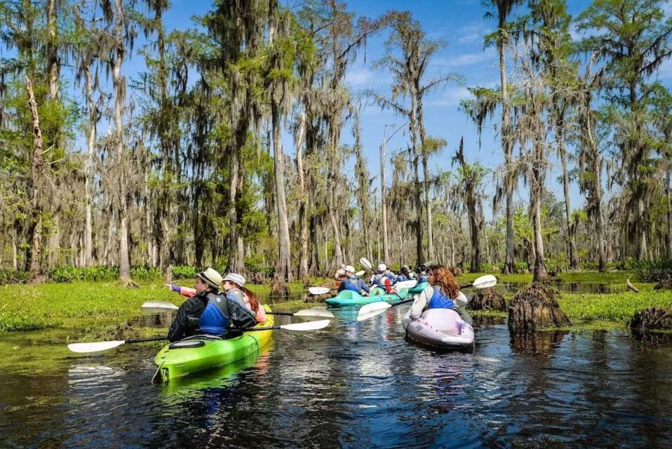 New Orleans: Manchac Magic Kayak Swamp Tour - Meeting at 732 N Rampart St.: Pickup Timing From New Orleans