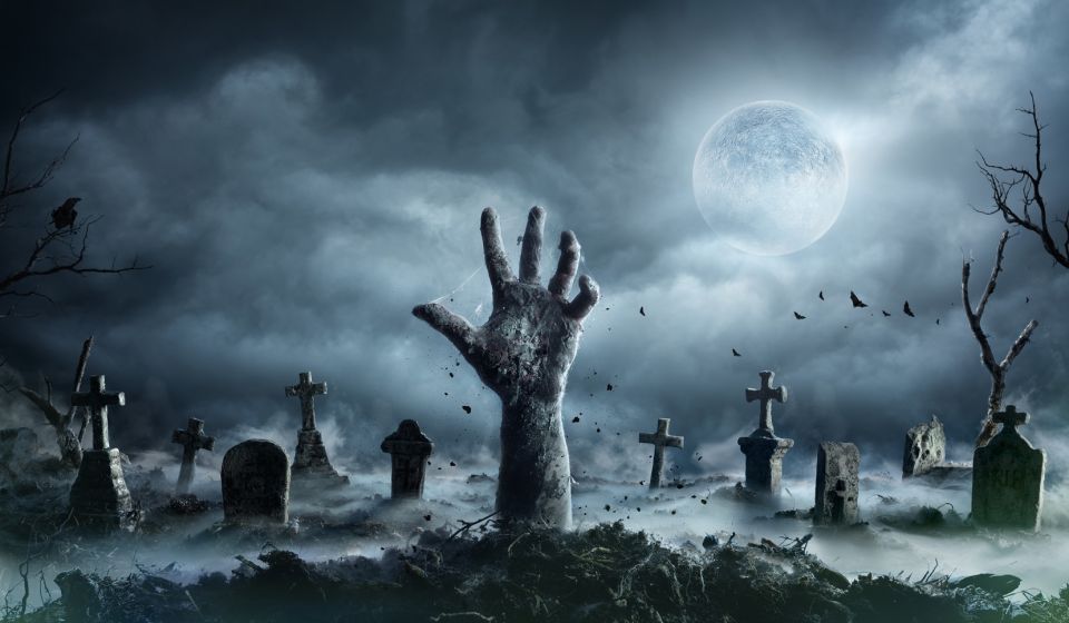 New Orleans: Night Cemetery and Ghost BYOB Bus Tour - What happens at the cemetery: tombs, rituals, and ghost tech