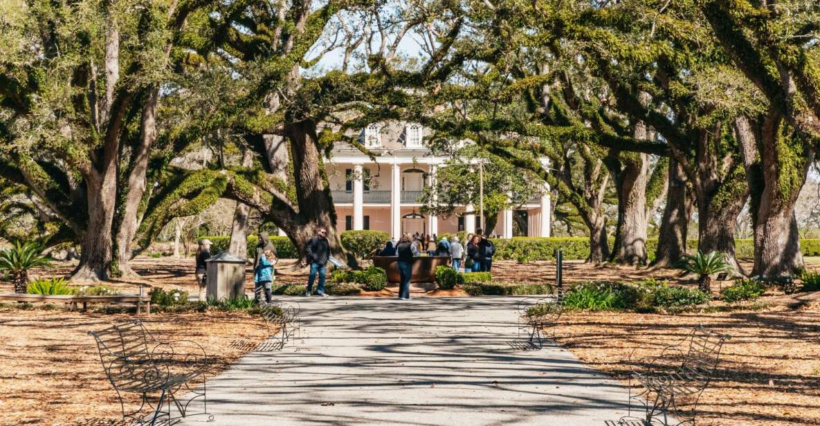 New Orleans: Oak Alley Plantation & Airboat Swamp Combo Tour - Key highlights worth your attention