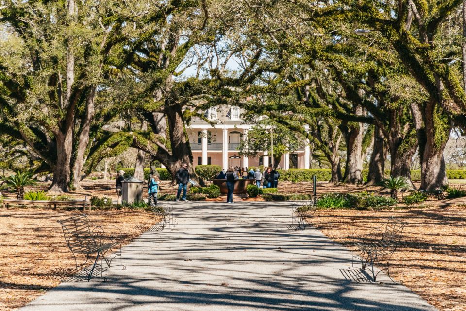 New Orleans: Oak Alley Plantation & Airboat Swamp Combo Tour - Oak Alley Plantation: Greek Revival beauty and an honest slavery lesson