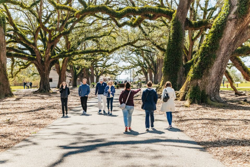 New Orleans: Oak Alley Plantation & Airboat Swamp Combo Tour - Guides make the difference: period-dress storytelling and swamp captains with real flair