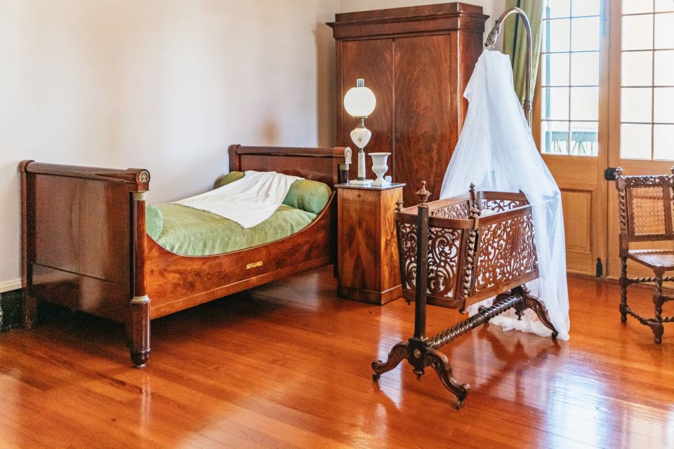 New Orleans: Oak Alley Plantation & Airboat Swamp Combo Tour - What to wear and bring for an open-boat swamp day