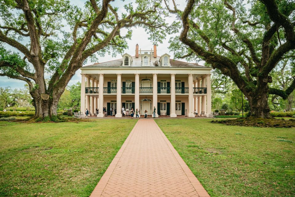 New Orleans: Oak Alley Plantation and Swamp Cruise Day Trip - Oak Alley Plantation: period-costume guiding and those famous arches