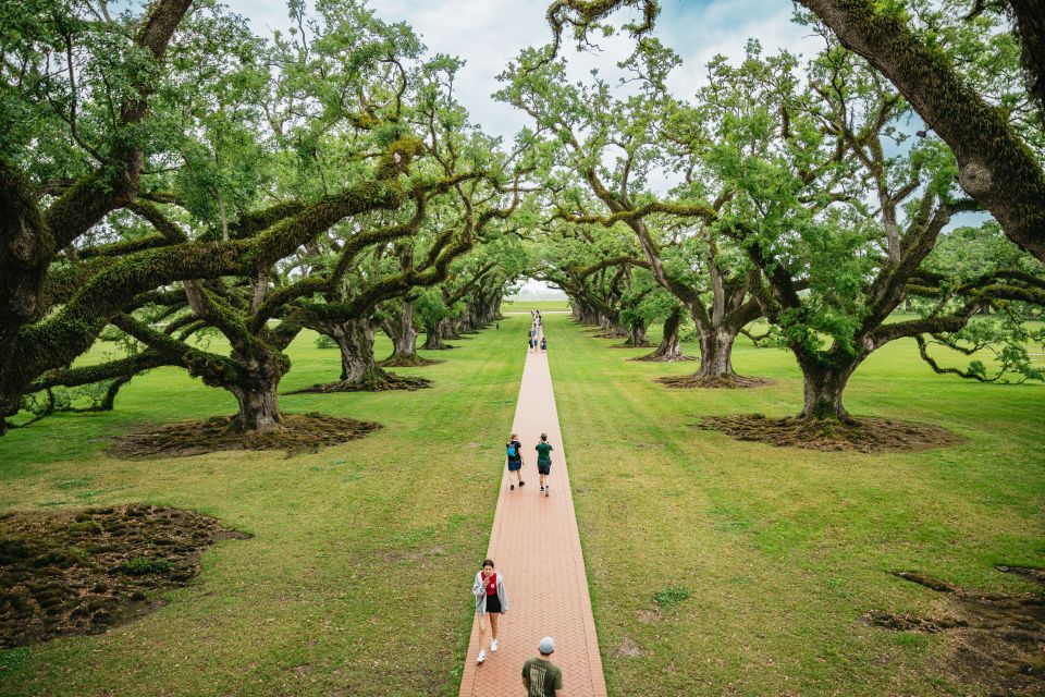 New Orleans: Oak Alley Plantation and Swamp Cruise Day Trip - The full-day flow: pickups, bus time, and when you’ll feel it