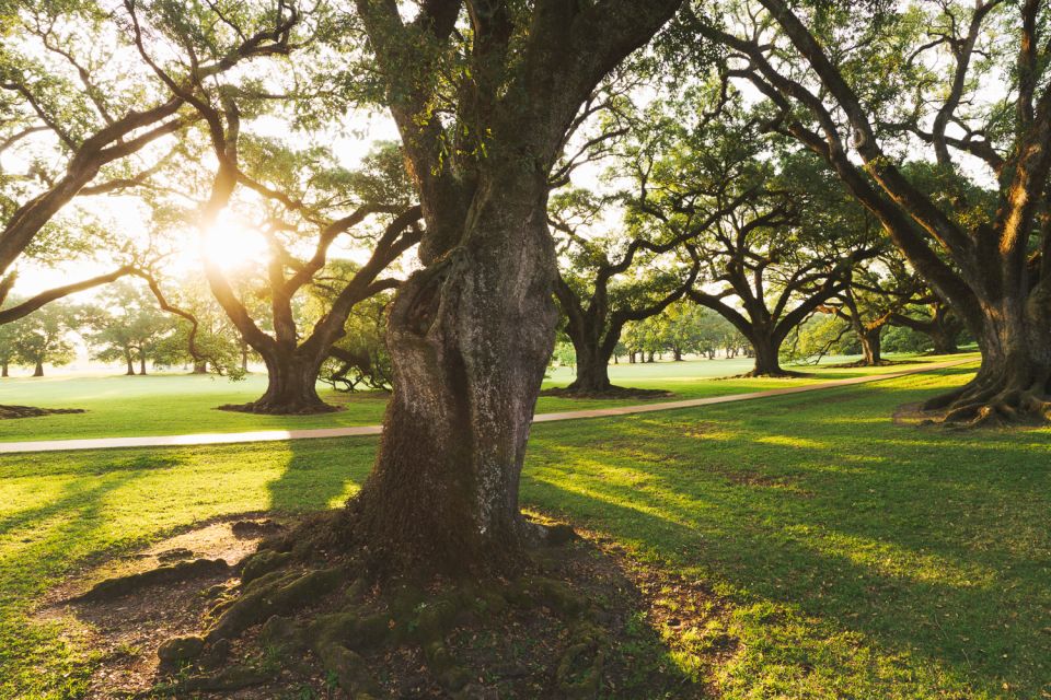 New Orleans: Oak Alley Plantation and Swamp Cruise Day Trip - Comfort tips that actually help: shoes, layers, and a smart snack plan