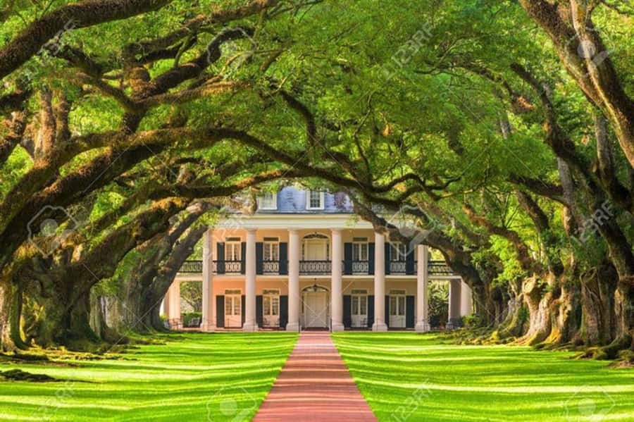 New Orleans: Oak Alley Plantation Tour with Hotel Transfers - Inside the Mansion: What the 35-Minute Guided Tour Really Delivers