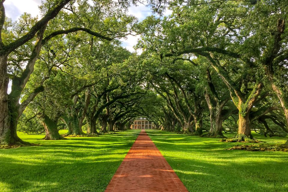 New Orleans: Oak Alley Plantation Tour with Transportation - Getting to Oak Alley Plantation from New Orleans (and why the drive is part of the experience)