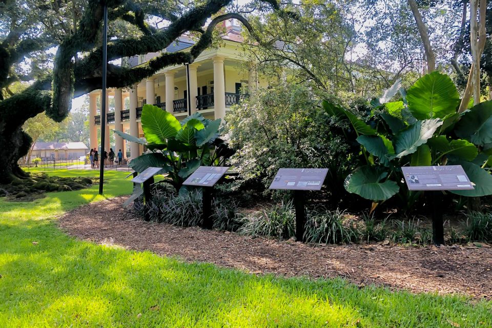 New Orleans: Oak Alley Plantation Tour with Transportation - Transportation, timing, and real-world comfort on the coach