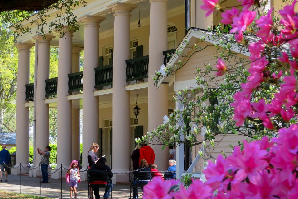 New Orleans: Oak Alley Plantation Tour with Transportation - Who this tour fits best (and who should think twice)