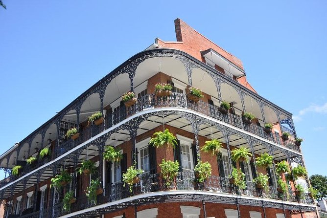 New Orleans Private Carriage Tour of the French Quarter - Alcohol onboard: allowed, but the rules are strict