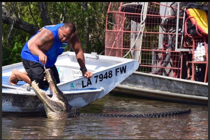 New Orleans Small-Group Airboat Swamp Tour - How the captain finds wildlife (and why it’s still not guaranteed)