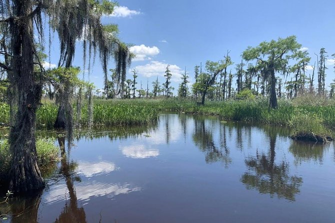 New Orleans Small-Group Airboat Swamp Tour - Getting the most from the ride: what to wear and bring