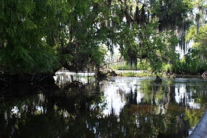 New Orleans Small-Group Airboat Swamp Tour - Why the small-group limit (9 people) is the real upgrade