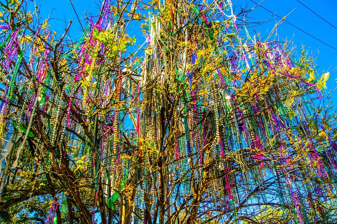 New Orleans Small-Group City Tour by Van - City Park and the Besthoff Sculpture Garden pause