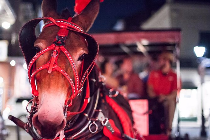 New Orleans Small-Group Haunted History Carriage Tour - What You’re Really Buying: Haunted History Storytelling
