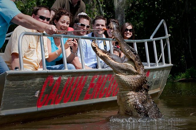 New Orleans Swamp and Bayou Boat Tour with Transportation - Key things to know before you go