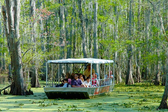 New Orleans Swamp and Bayou Boat Tour with Transportation - What you get for $70.12: value beyond the boat ride