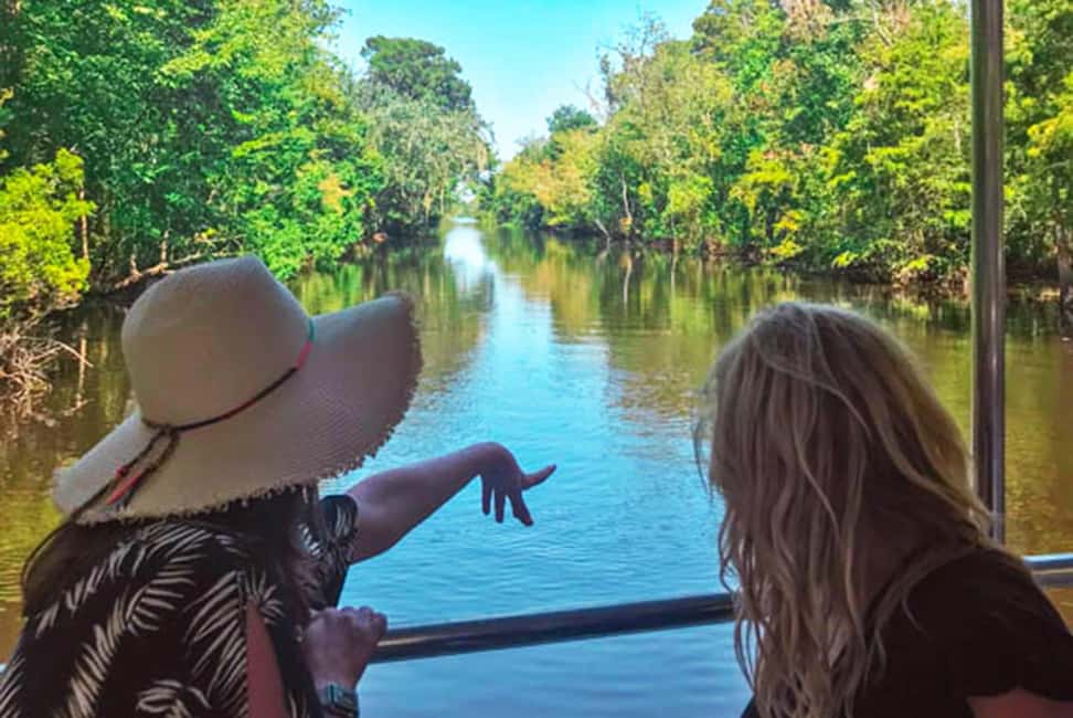 New Orleans: Swamp & Bayou Boat Tour with Transportation - Should you book this New Orleans swamp tour with transportation?