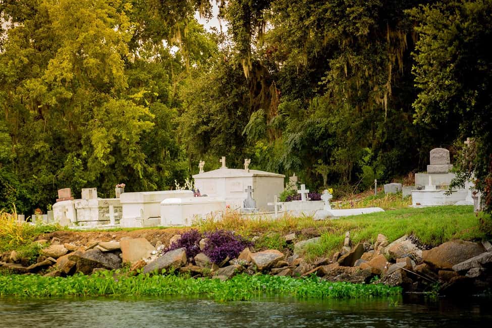New Orleans: Swamp & Bayou Boat Tour with Transportation - Wildlife spotting: alligators, egrets, raccoons, nutria, and snakes