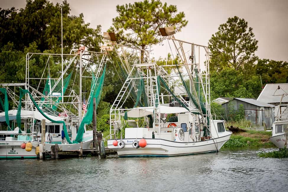 New Orleans: Swamp & Bayou Boat Tour with Transportation - Boat type and timing: set expectations for boarding and photos