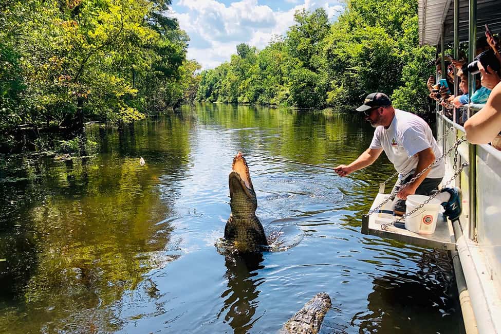 New Orleans: Swamp Boat Ride and Historic Plantation Tour - Destrehan Plantation Option: French Colonial Roots and Sugar Dynasty Stories