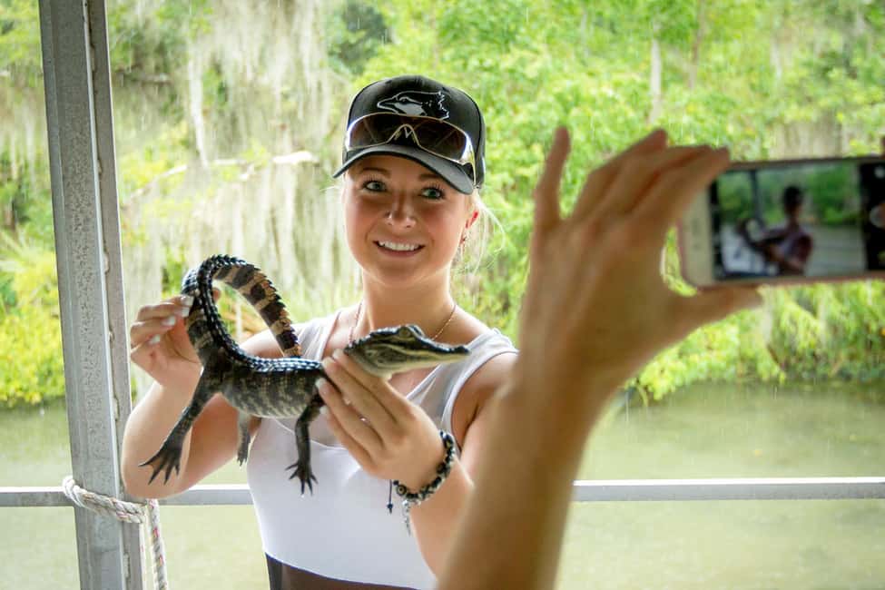 New Orleans: Swamp Boat Ride and Historic Plantation Tour - Oak Alley Plantation: 1839 Oaks, River Cypress, and Living Exhibits