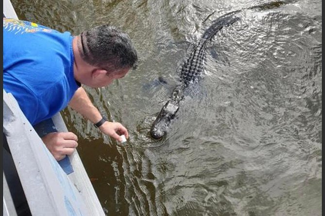 New Orleans Swamp Tour Boat Adventure - Group Size and the Smoothness of the Ride