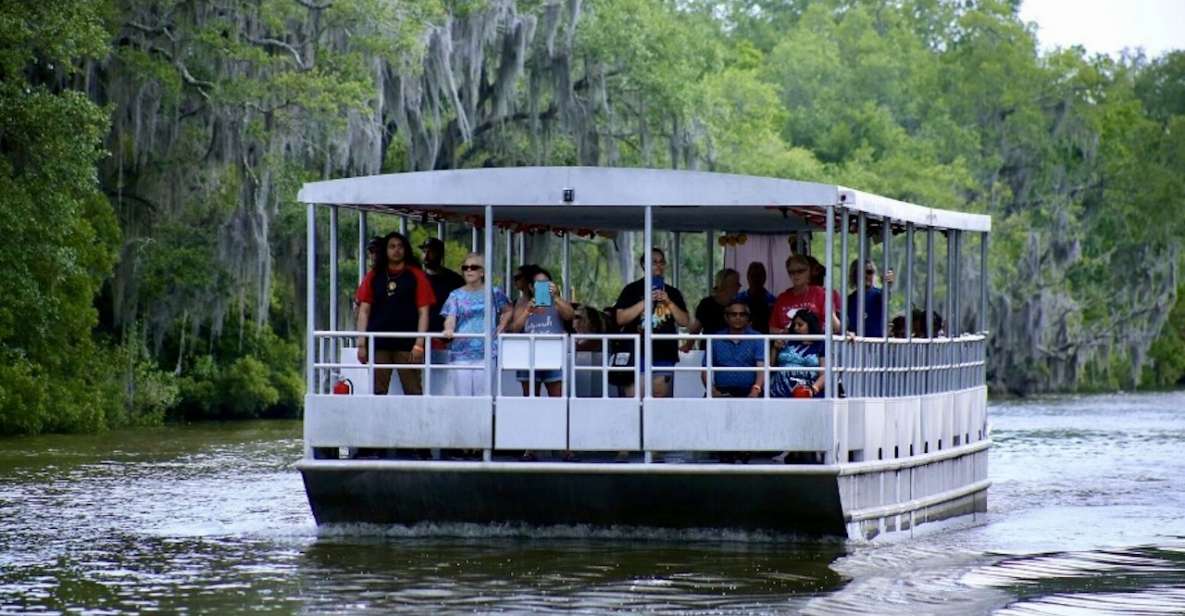 New Orleans: Swamp Tour on Covered Pontoon Boat - Why the covered pontoon feels better than loud airboats