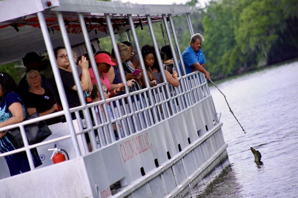 New Orleans: Swamp Tour on Covered Pontoon Boat - Comfort and packing: what to wear for the swamp air