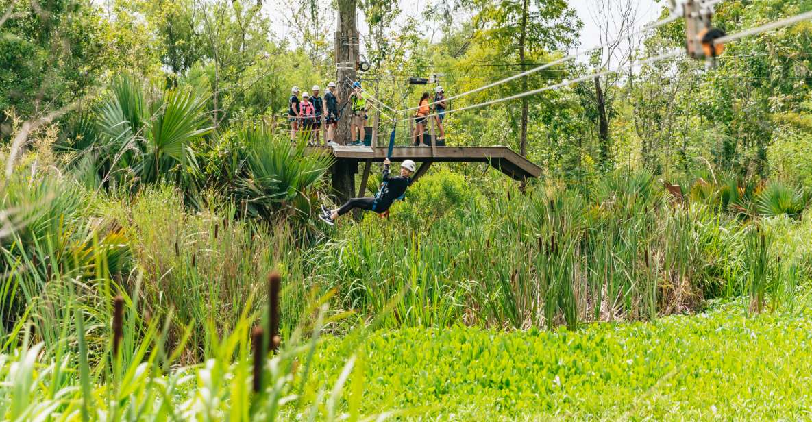 New Orleans: Swamp Zipline Tour - Check-In, Safety Gear, and Why the Setup Matters