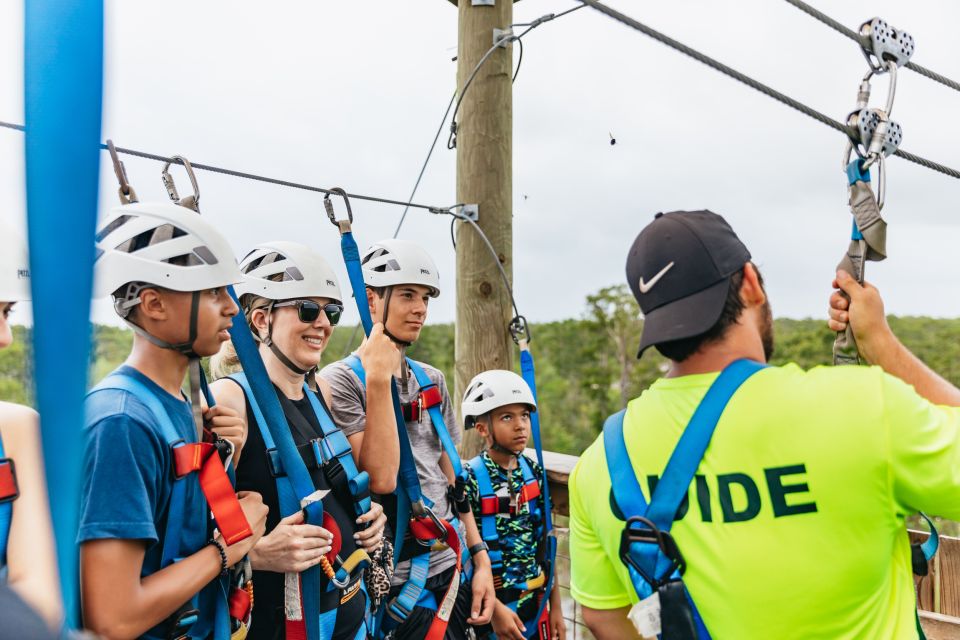New Orleans: Swamp Zipline Tour - Wildlife Spotting: What You Might See Over the Moss-Covered Canopy