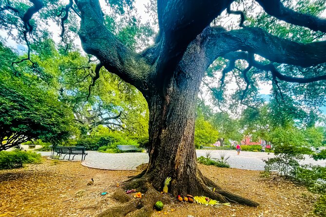 Nola Voodoo Walking Tour with High Priestess Guide in New Orleans - What to Bring (and What to Expect) for 90 Minutes Outside