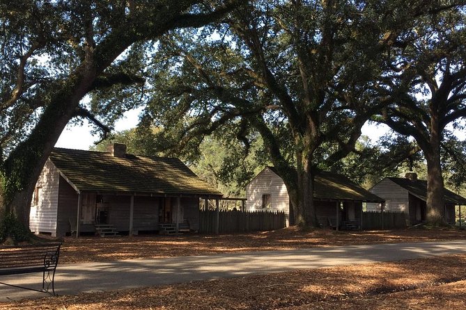Oak Alley or Laura Plantation Tour from New Orleans - Oak Alley Plantation: what to focus on during your guided stroll