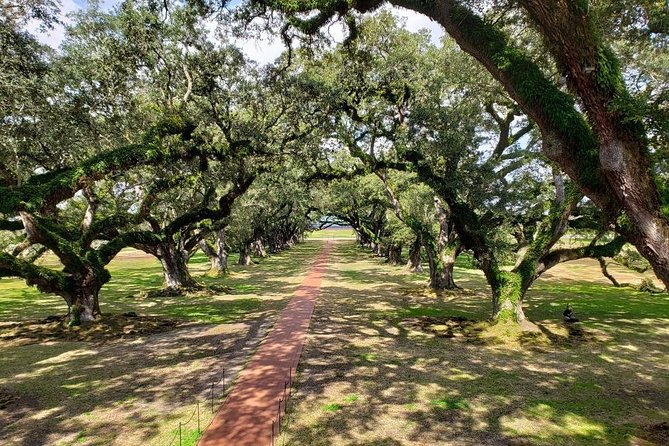 Oak Alley or Laura Plantation Tour from New Orleans - Laura Plantation: Creole heritage framing and what makes it feel different