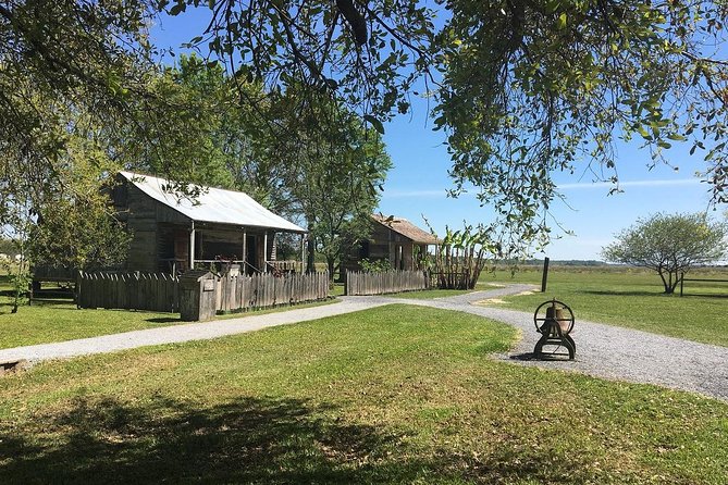 Oak Alley or Laura Plantation Tour from New Orleans - Guide and driver quality: how much it affects your day