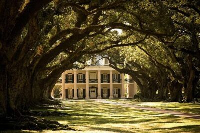 Oak Alley Plantation and Large Airboat Swamp Tour from New Orleans - Beyond the mansion: blacksmith shop, exhibits, and where your free time goes