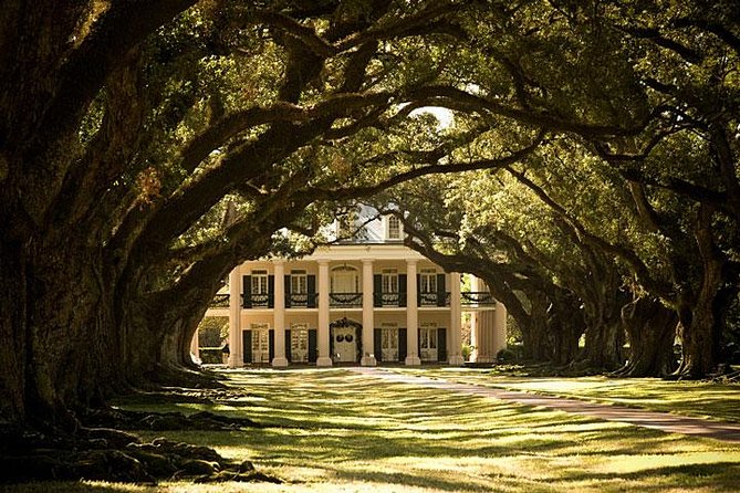 Oak Alley Plantation and Small Airboat Tour from New Orleans - Price and value: what the $185 covers